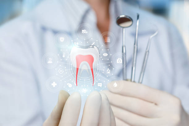 Best Dental Exams and Cleanings  in Muscle Shos, AL